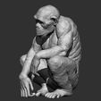 Chimpanzee-monkey-stl-3d-printable-model-2.jpg Singe chimpanzé stl modèle imprimable en 3d