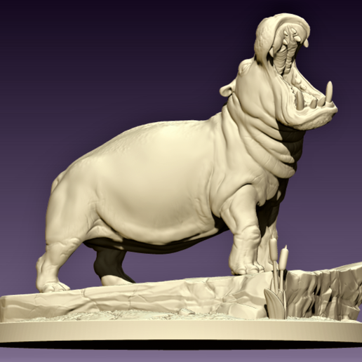 Angry Hippo 3D model