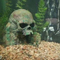 IMG-20230913-WA0009.jpeg STL file skull cave aquarium role・3D printing idea to download