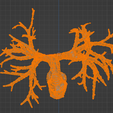 15.png 3D Model of the Lungs Airways
