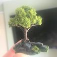 dfc4312cc79c33b5c1550f3dd183f41d_display_large.JPG Wargaming Tree growing on Rocks / Ruin