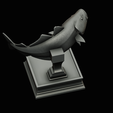 coalfish-open-mouth-statue-box-62.png COALFISH / POLLACHIUS VIRENS trophy with storage space for 3d printing