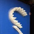 28783058_1595833453787096_2837284111888941056_n.jpg STL file T-rex Tyrannosaurus・3D printing design to download
