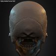 Highly-Detailed-Human-Skull-014.jpg Highly Detailed Human Skull
