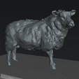 Captura-de-pantalla-2026-07-03-230109_PhotoGrid.png Low Poly Sheep STL for 3D Printing