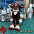 4.jpg Flexi Shadow the Hedgehog - Print in place - No Supports