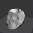 Photo_slicer_tete_de_mort_pixel_maker35.jpg Skull pixel / Skull vase