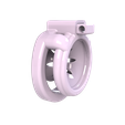 pic2.png Flat / Inverted chastity cage