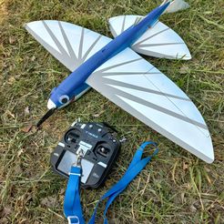 20220521_171229.jpg FUN FLY R/C FLIEGENDE FISCHE KUNSTFLUGSEGLER FLÜGELSPANNWEITE 1.08M