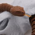 Serpiente y cascabel