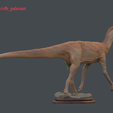 R_003.png Silesaurus opolensis