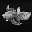 32.png Ryukin Fancy Goldfish - Realistic Fish Pet