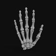 skeleton-hand-3d-model-obj-fbx-stl-4.jpg Skeleton Hand