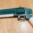 20180813_184649.jpg DESTINY 2 - Fever and Remedy Hand Cannon