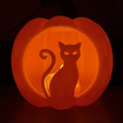 IMG_7845.png Cat Jack-O-Lantern Pumpkin Light Up with Bottom Closure