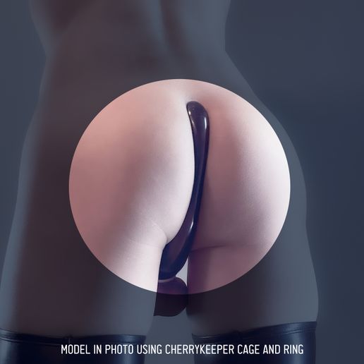 PrintTryOn_CStringFlatTop_Back.jpg Chastity Plate FlatTop