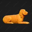 2639-Bracco_Italiano_Pose_09.jpg Bracco Italiano Dog 3D Print Model Pose 09