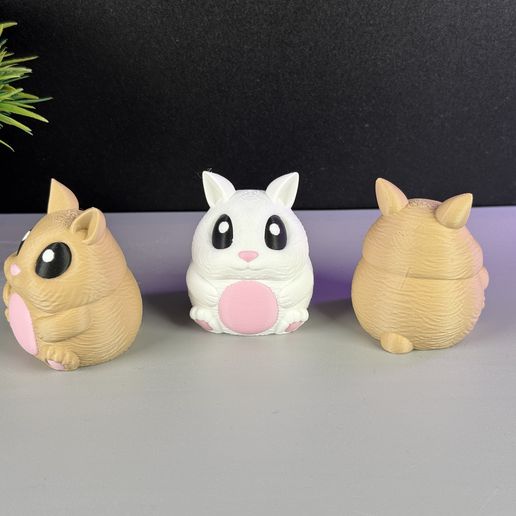 IMG_4706.jpg Conejito lindo