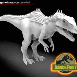 01.jpg Giganotosaurus carolinii