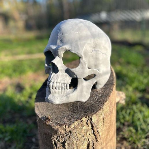 IMG_20230426_191033_814.jpg Реалистичная маска в виде черепа