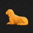 1059-Basset_Griffon_Vendeen_Petit_Pose_07.jpg Basset Griffon Vendeen Petit Dog 3D Print Model Pose 07
