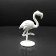 Cod285-Standing-Flamingo-12.jpeg Standing Flamingo