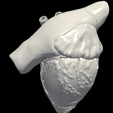 2.png 3D Model of Heart (apical 3 chamber plane)