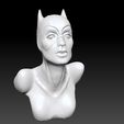 Catwoman_0015_Layer 8.jpg Catwoman bust 2 versions