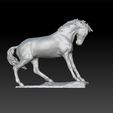 horse333.jpg Horse - decorative horse - beautiful horse