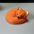 IMG_2822.jpg Sleeping Fox
