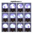 Nightflower-e3.jpg Nightflower-e