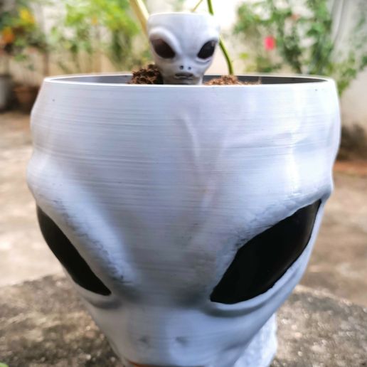 IMG20230825151321.jpg Alien Halloween Decoration, Plant Pot, Flowerpot, Bowl, Vase