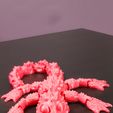20240419_002959.jpg Lézard articulé / Dragon Flexi - Support libre - Print in Place