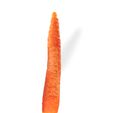 4.jpg Carrot VEGETABLE FRUIT TREE FOREST Carrot FLOWER PLANT FOOD DRINK JUICE NATURE VEGETABLE