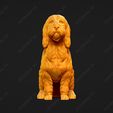 1032-Basset_Griffon_Vendeen_Petit_Pose_04.jpg Basset Griffon Vendeen Petit Dog 3D Print Model Pose 04
