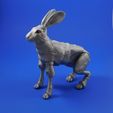hare_square_2.jpg Free STL file The Fabled Hare (A 3D Printed Ball-jointed Doll)・3D printable object to download
