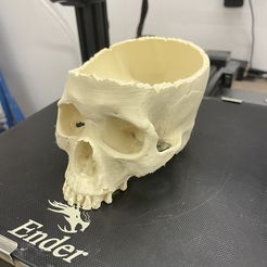 Halloween Skull Bowl