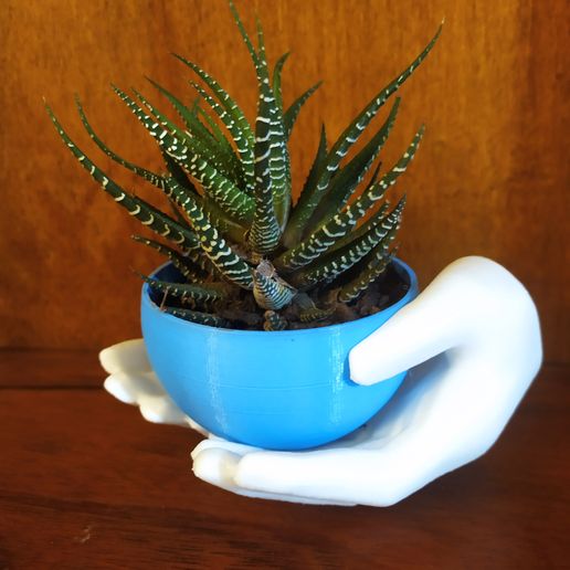 IMG_20230518_171427.jpg Hands pot