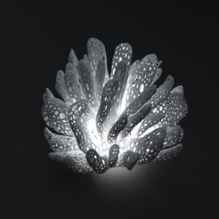 Capture d’écran 2017-05-12 à 10.20.35.png Free STL file Coral lampshade・Object to download and to 3D print