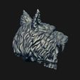 6.jpg Skull wolf scalp