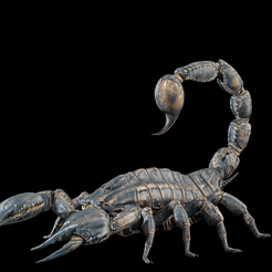 0015.png Realistic Scorpion- posable/rigged [stl file included ]