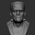 6.jpg The Frankenstein's monster bust