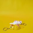 WhatsApp-Image-2025-04-05-at-6.02.08-PM-7.jpeg Parakeet or Australian Parakeet articulated