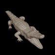 Cocodrilo6.png ARTICULATED CROCODILE 1