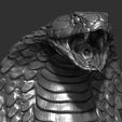 30.jpg Snake cobra