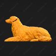 555-Australian_Shepherd_Dog_Pose_07.jpg Australian Shepherd Dog 3D Print Model Pose 07