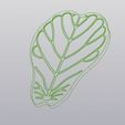 6.jpg Ficus Lyrata leaf Cup coaster