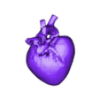 anatomical heart.stl anatomical heart