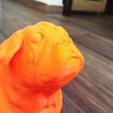 photo1681589489-1.jpeg Pug dog sculpt