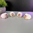 IMG_3957.jpg Cute Sheep